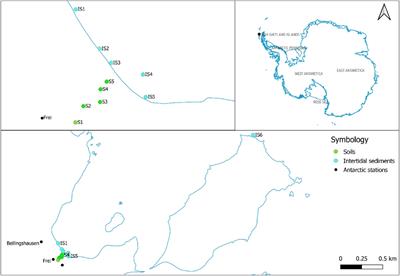 Occurrence and Distribution of Microplastics in Soils and Intertidal Sediments at Fildes Bay, Maritime Antarctica